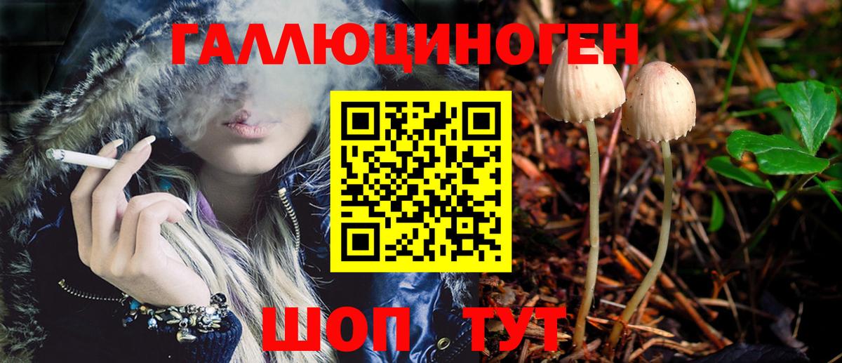 наркошоп  Вход с VPN  Глазов  Галлюциногенные грибы Psilocybine cubensis 