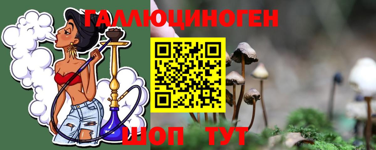Псилоцибиновые грибы Psilocybe Глазов